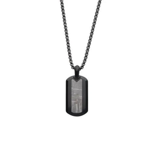 Black Stainless Steel Meteorite Pendant with Chain