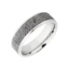 Cobalt Chrome Meteorite Wedding Band