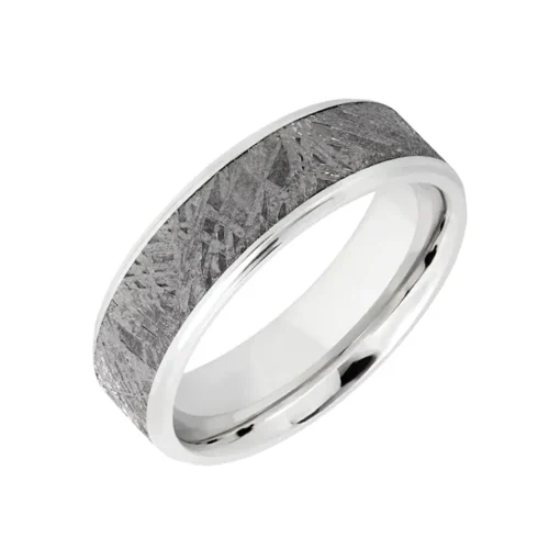 Cobalt Chrome Meteorite Wedding Band