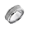 Cobalt Chrome Meteorite Wedding Band
