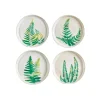 Fern Study Plates