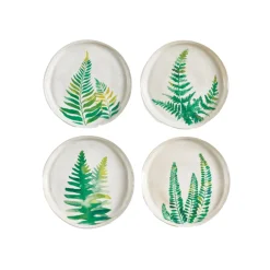 Fern Study Plates
