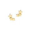 Gold Plated Sterling Silver Stargazer Earrings