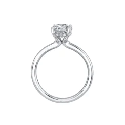 14K White Gold Round Cut Hidden Halo Engagement Ring – Melany