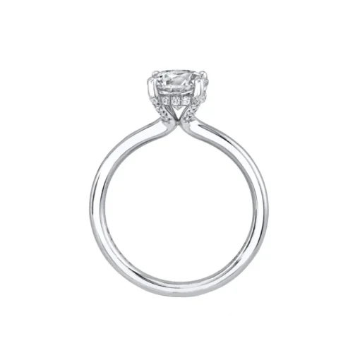 14K White Gold Round Cut Hidden Halo Engagement Ring – Melany
