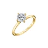 14K Yellow Gold Tulira Compass Set Solitaire Vine Prong Engagement Ring – Wren