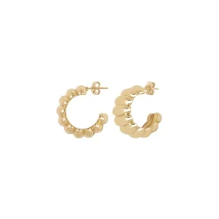 14K Yellow Gold Wide Shrimp Hoop Earrings