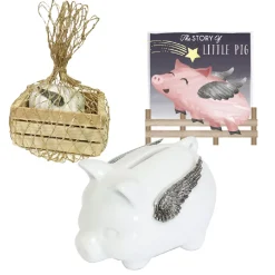 Salisbury – Little Pig Ceramic Bank