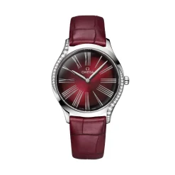 Stainless Steel OMEGA De Ville Tresor
