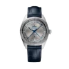 Stainless Steel OMEGA Globemaster