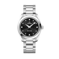 Stainless Steel OMEGA Seamaster Aqua Terra 150M