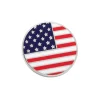 Stars and Stripes Lapel Pin