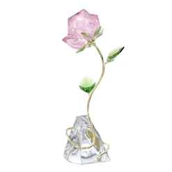 Swarovski – Florere Rose